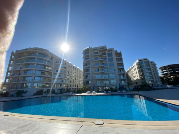 Luxury swimming pool at Scandic Project surrounded by minimalist architecture and a relaxing atmosphere.