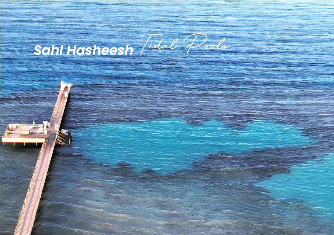 "Smart Investment Egypt in real estate with high return potential"