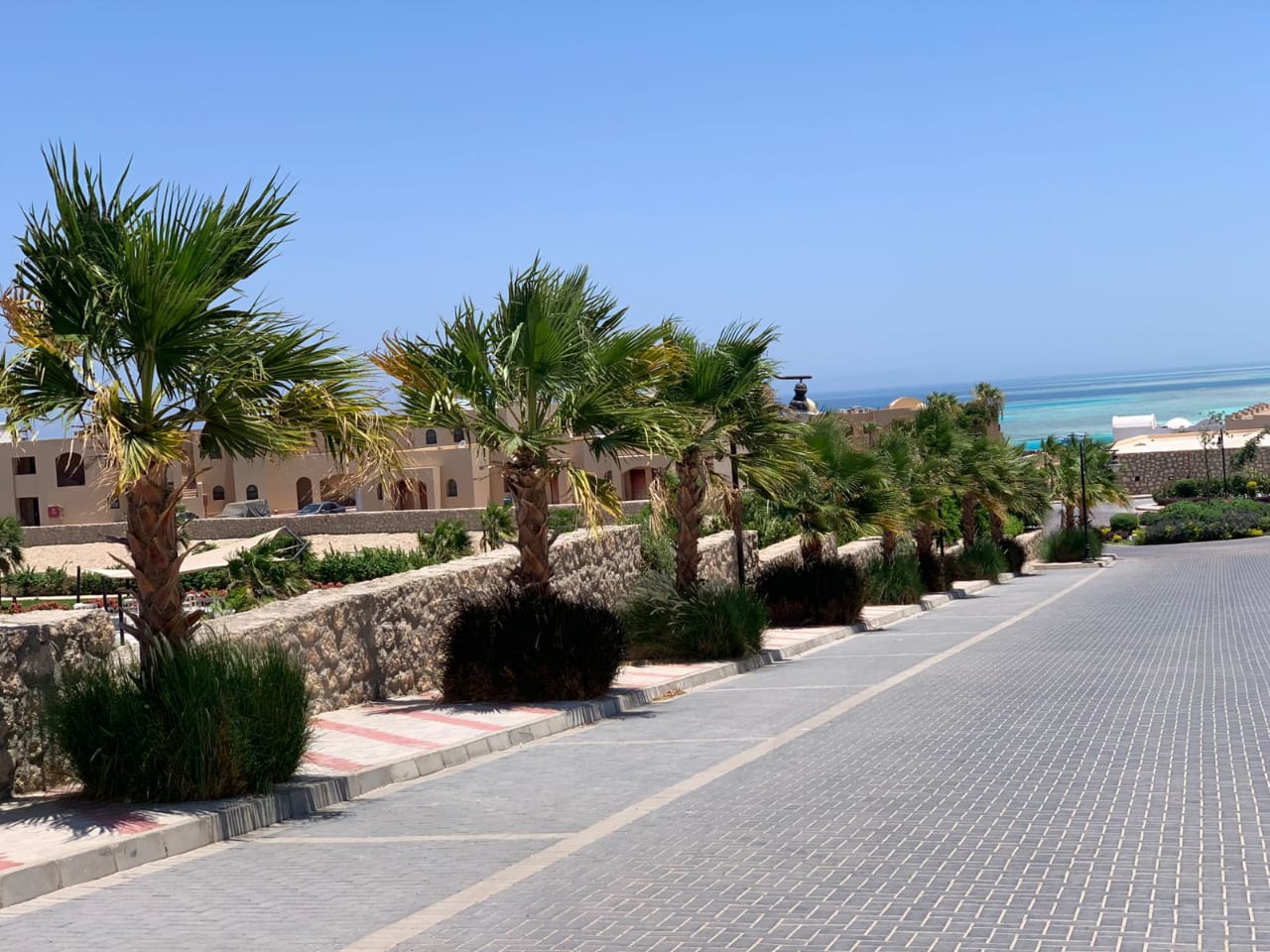 WhatsApp Image 2025-07-01 at 1.51.41 PM (2)