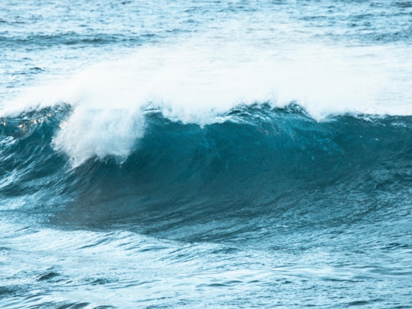 Premium spa experience offering relaxation and wellness services